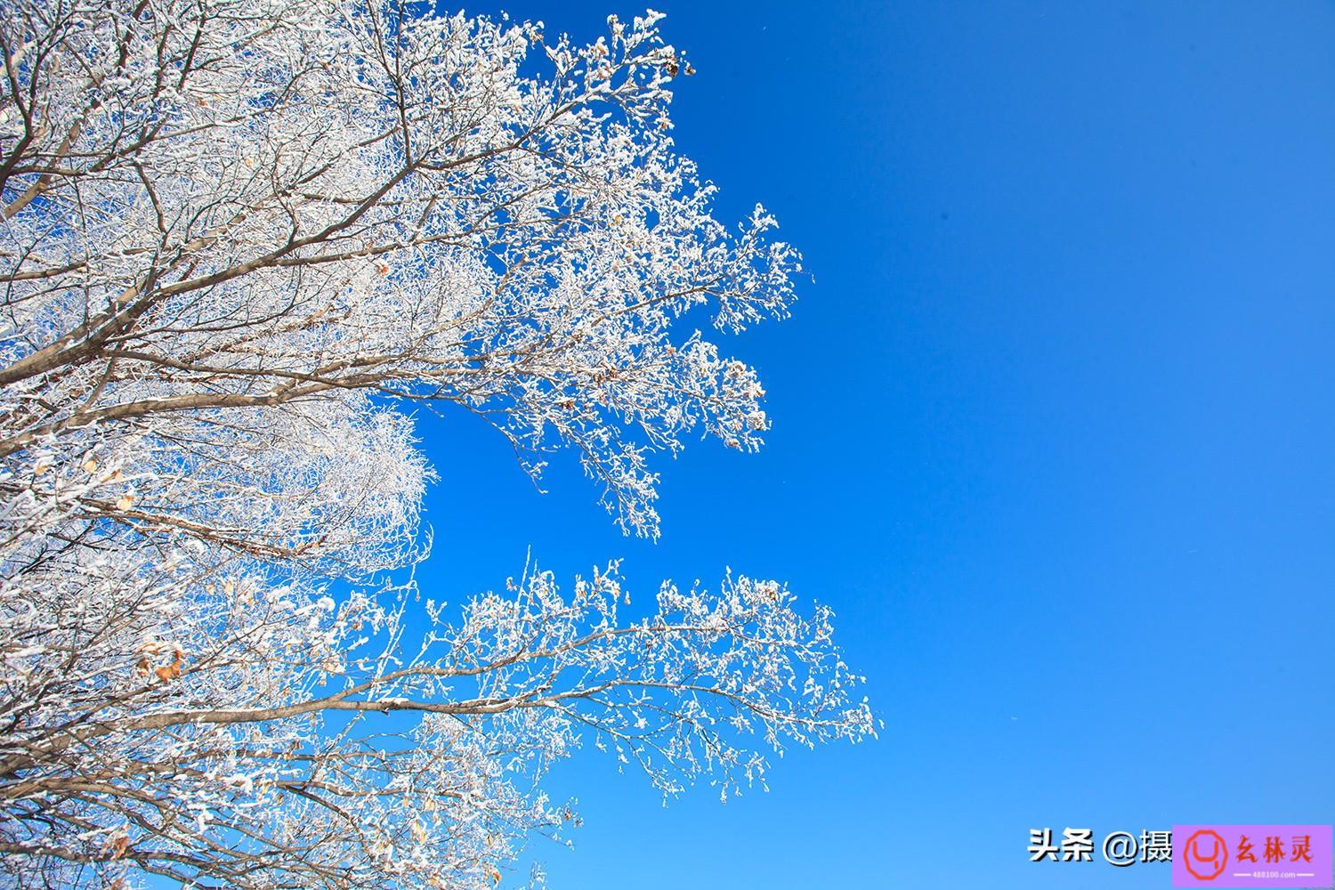 雪地唯美图片