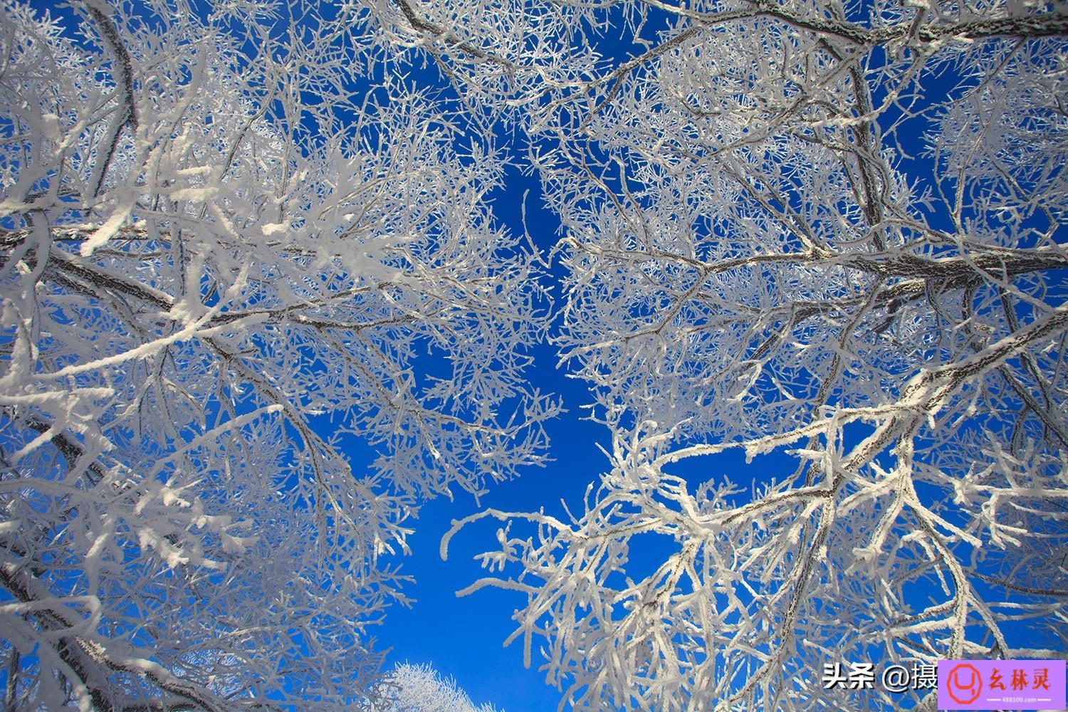 雪花的样子唯美图片