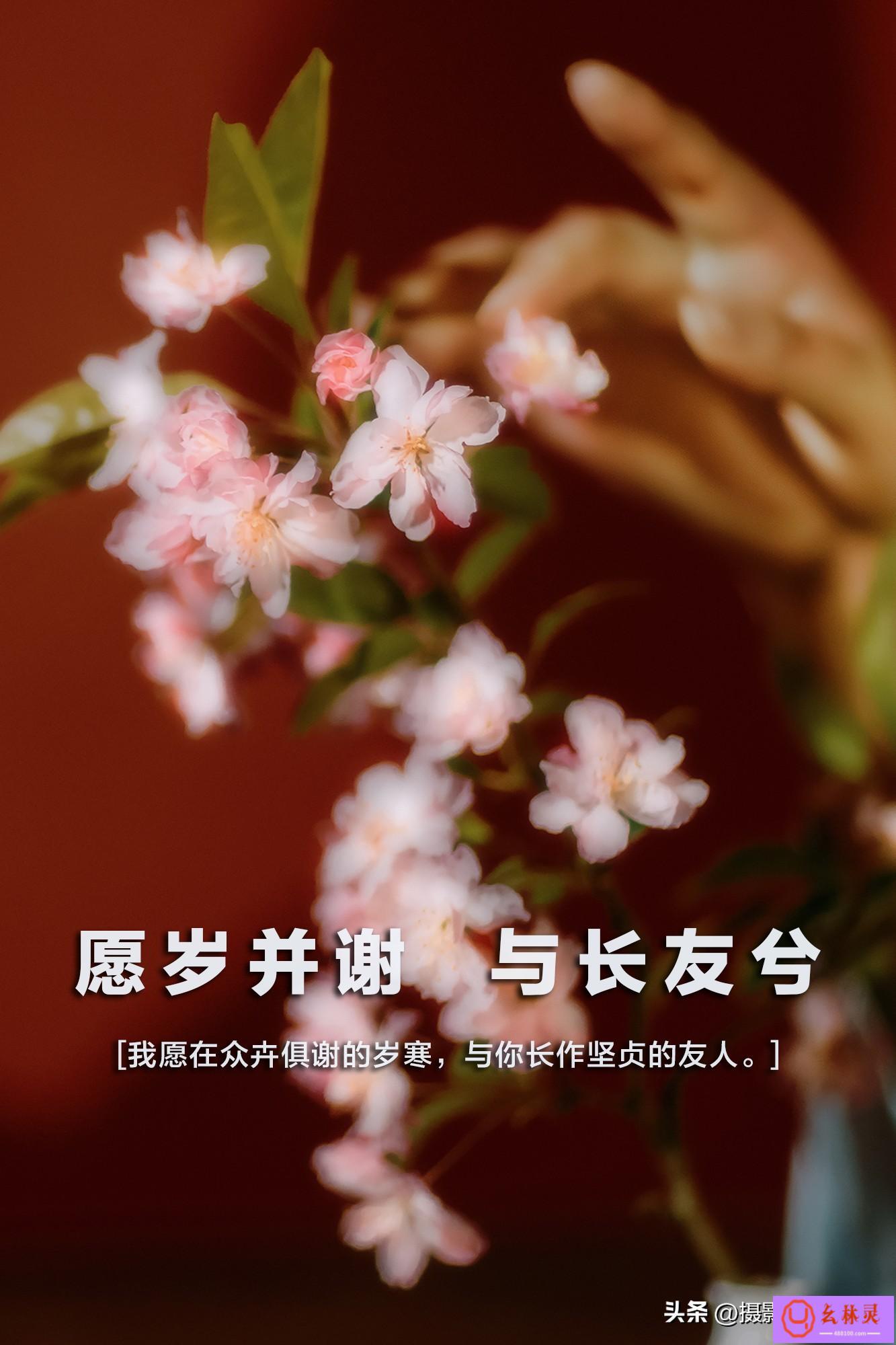 简短唯美精辟的4字干净短句